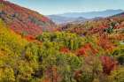 USA, Utah. Foothills east of Ogden in fall colors with Aspen and maple Art Print